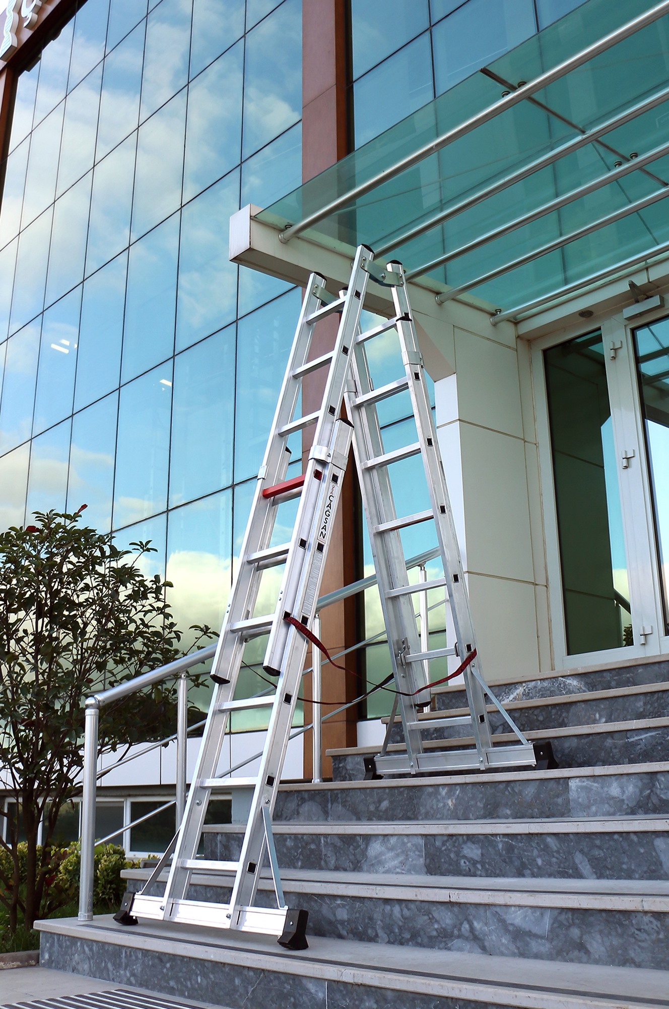 Scari_Profesionale_1