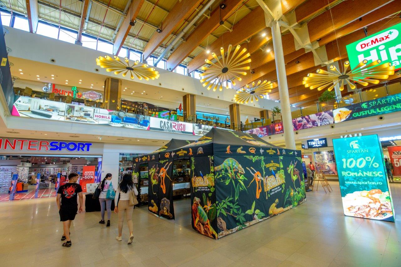 Iulius Town Timisoara expozitie reptile 1  