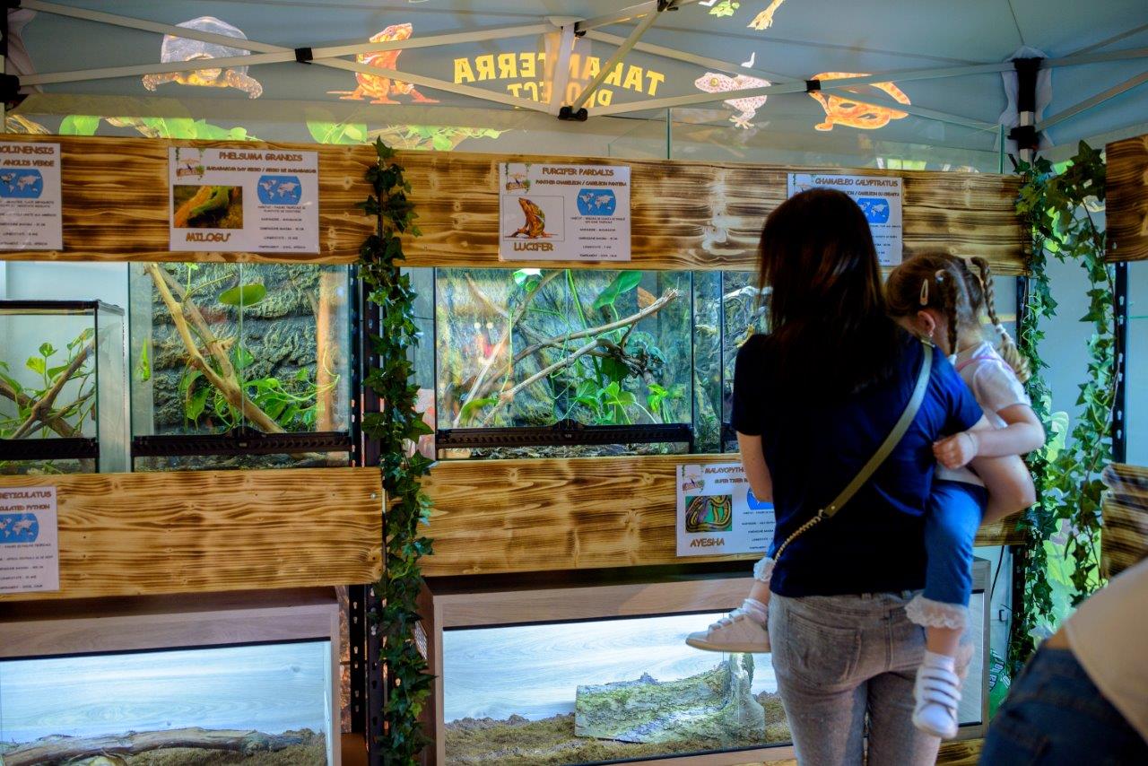 Iulius_Town_Timisoara_expozitie_reptile_2_