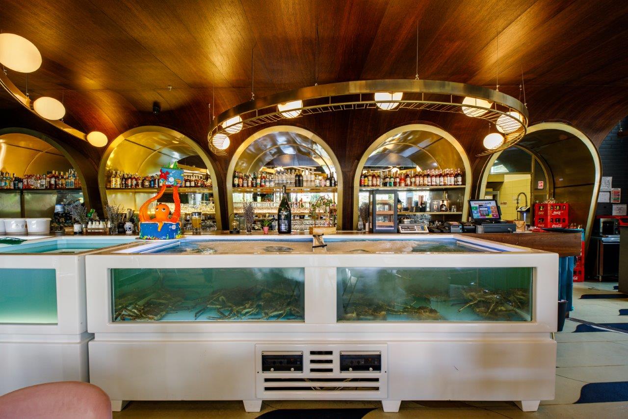 Iulius_Town_Timisoara_Taverna_Racilor_6_