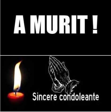 296228205 641454177345471 953372996761541837 n 