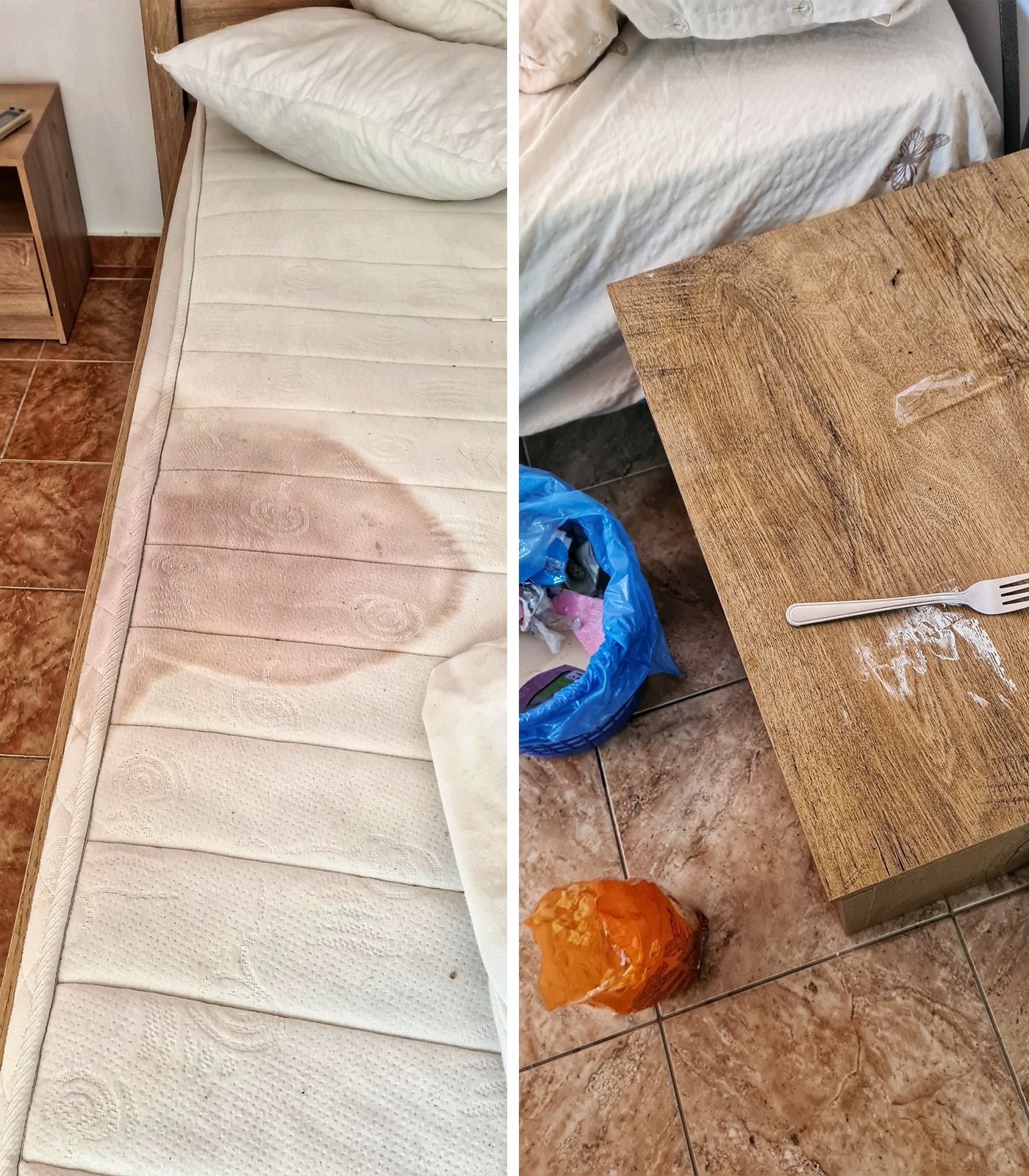 299976650 655538902603665 1535019491649759070 n 