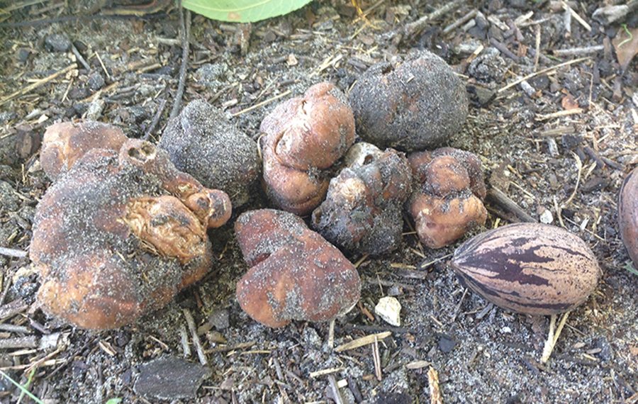 302274183_662975885193300_1915653241880952883_n