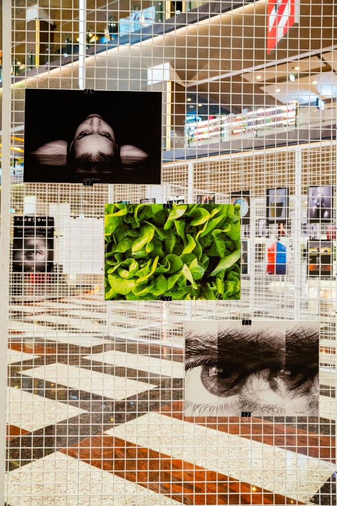 Expo_Splendoarea_Clipei_3_