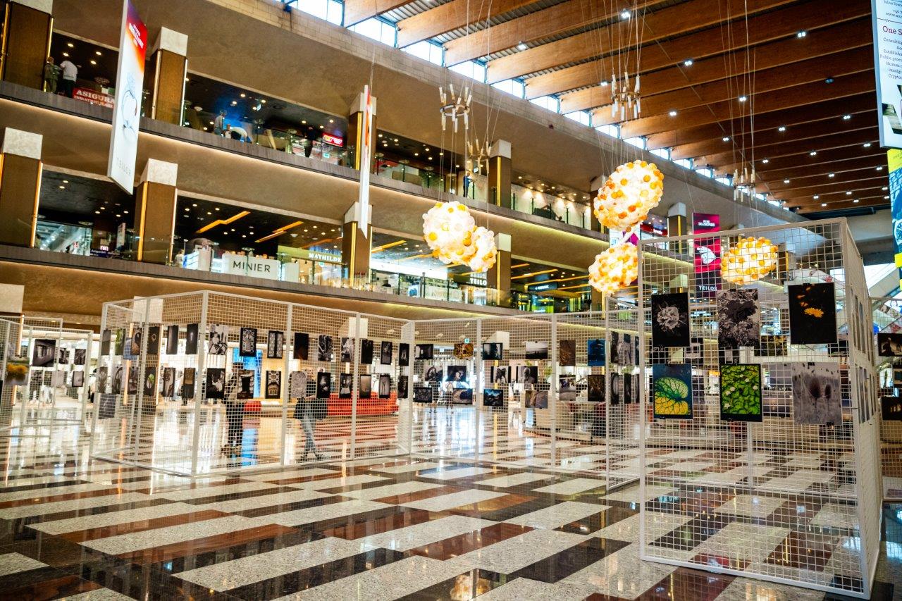 Expo_Splendoarea_Clipei_6_