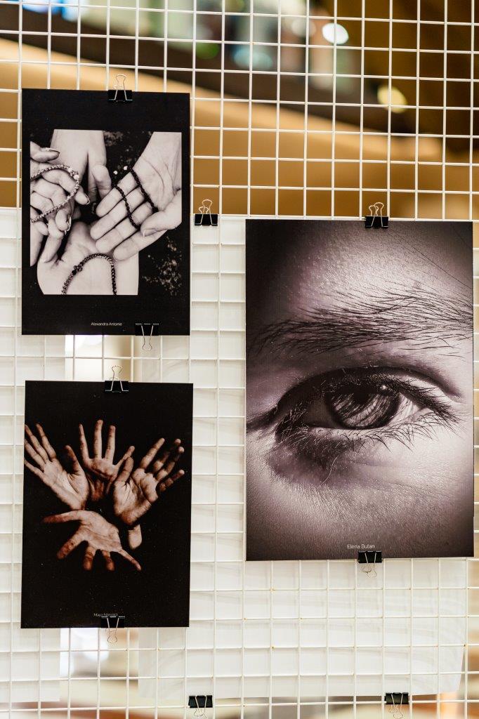 Expo_Splendoarea_Clipei_7_